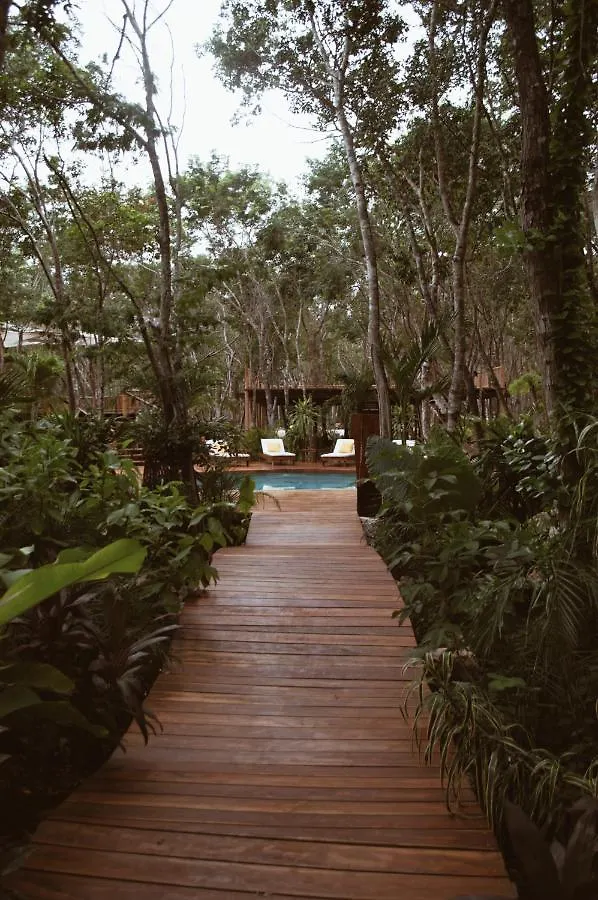 ***  Hotel Boutique Chaca Tulum Mexico
