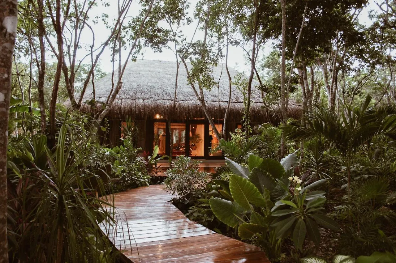 Hotel Boutique Chaca 툴룸
